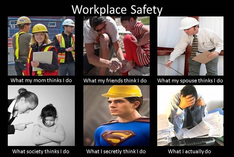 safety professional