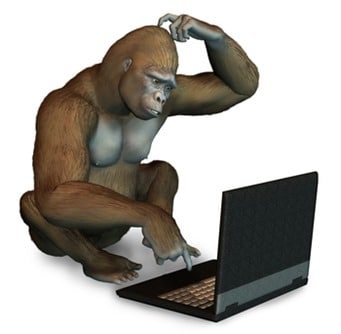Perplexed Gorilla with Laptop
