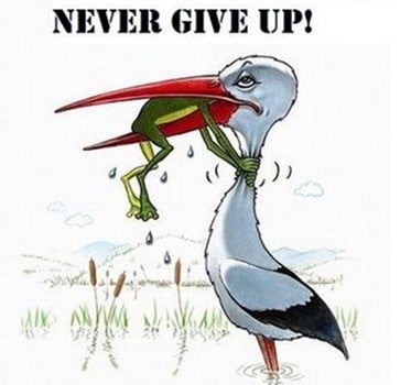 never-give-up1