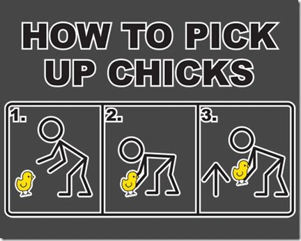 pick up chicks