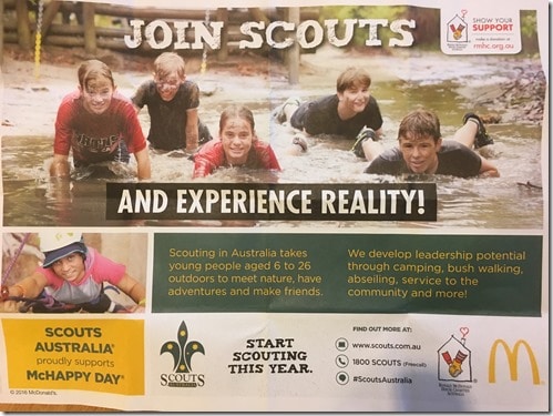 Scouts 2017