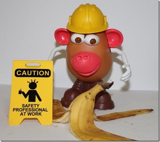 Safety Professional